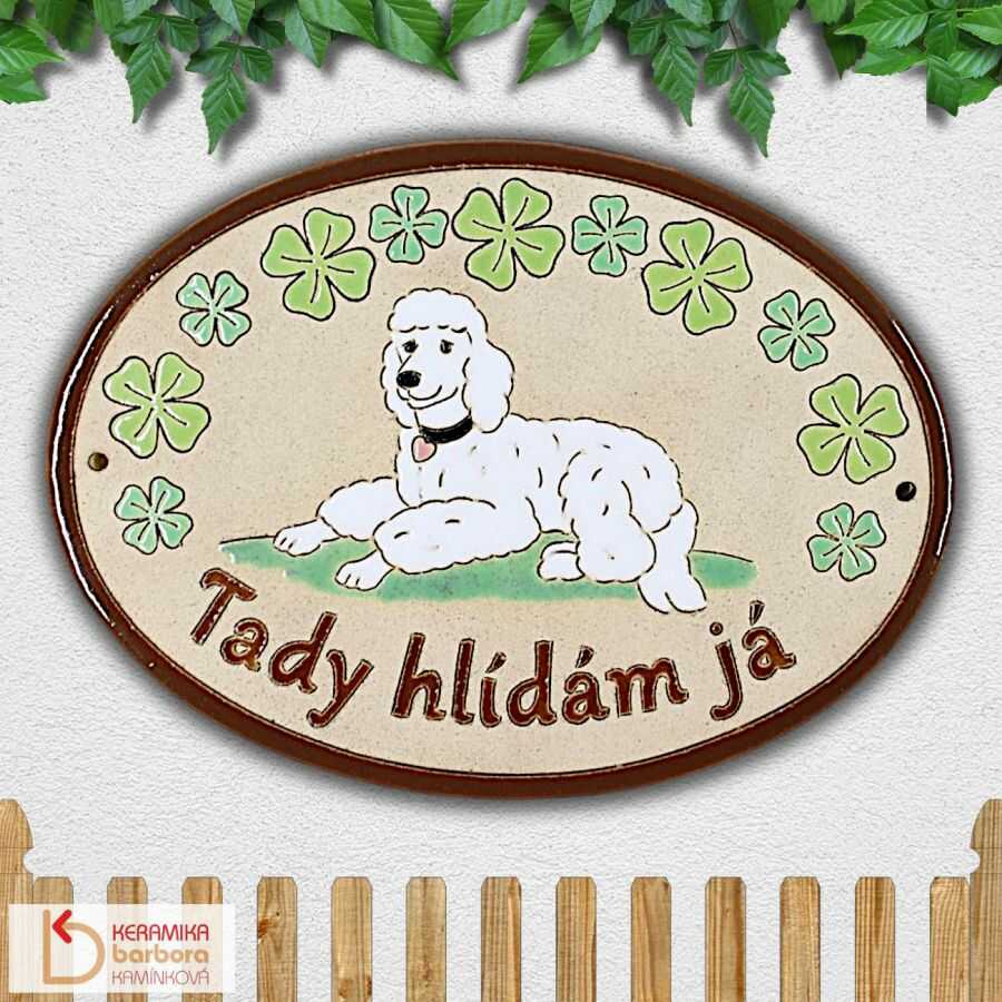 Výstražná cedule tabulka na vrata plot Pozor pes Tady hlídám já se psem kokršpanělem a čtyřlístky pro štěstí